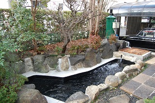 リビングから眺める庭池新設工事