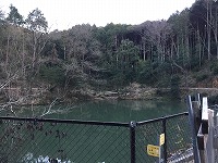 ニシキゴイ 引越し,錦鯉 輸送,水槽車,,