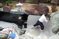 錦鯉 造園,庭池 錦鯉,造園 池,錦鯉池 作り