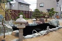 錦鯉 造園,庭池 錦鯉,造園 池,錦鯉池 作り