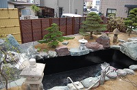 錦鯉 造園,庭池 錦鯉,造園 池,錦鯉池 作り