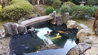 庭池 防水 工事