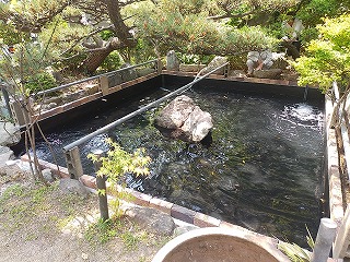 庭池 防水