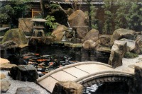 錦鯉池管理,池管理,管理,錦鯉管理業務,メンテナス,管理業務,